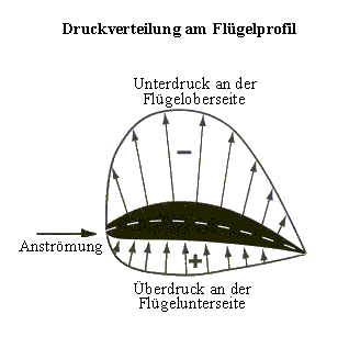 Auftrieb